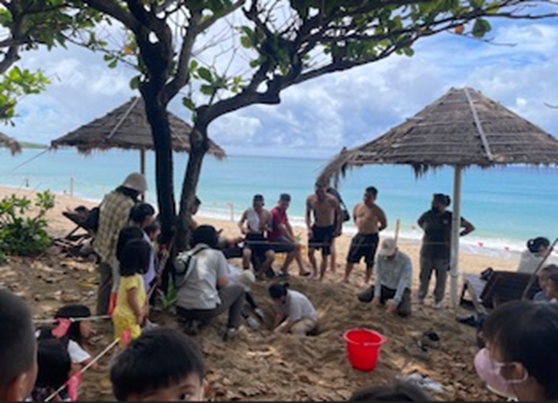 15-協助海龜回歸大海