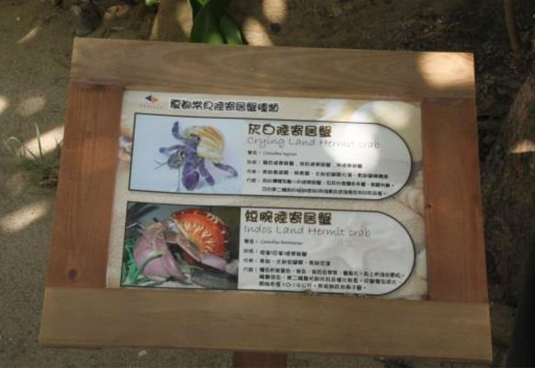 13-寄居蟹護育解說牌(1) 13-寄居蟹護育解說牌(1)